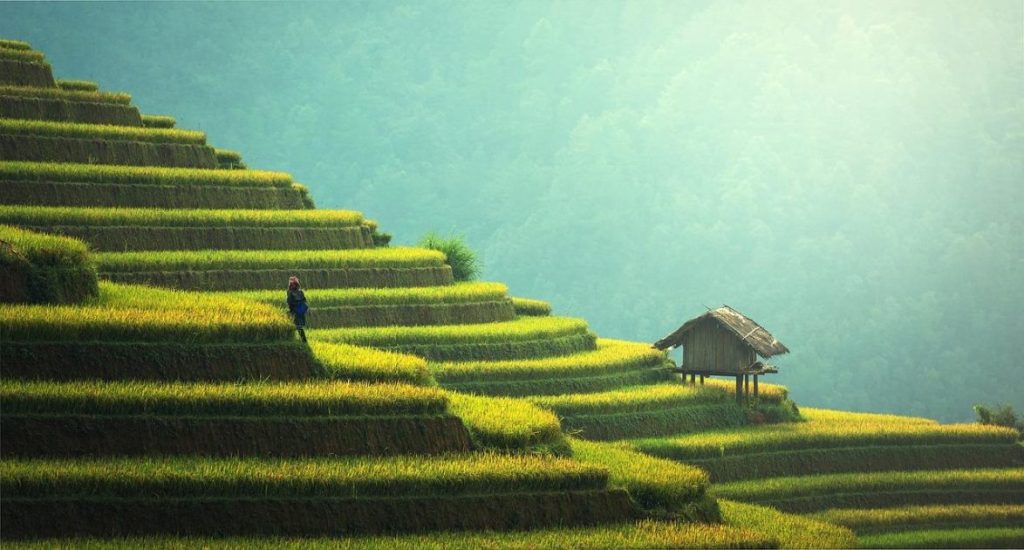 Stage lopen in Bali met Paradise Students - visum, stageplek en voorbereiding begeleiding